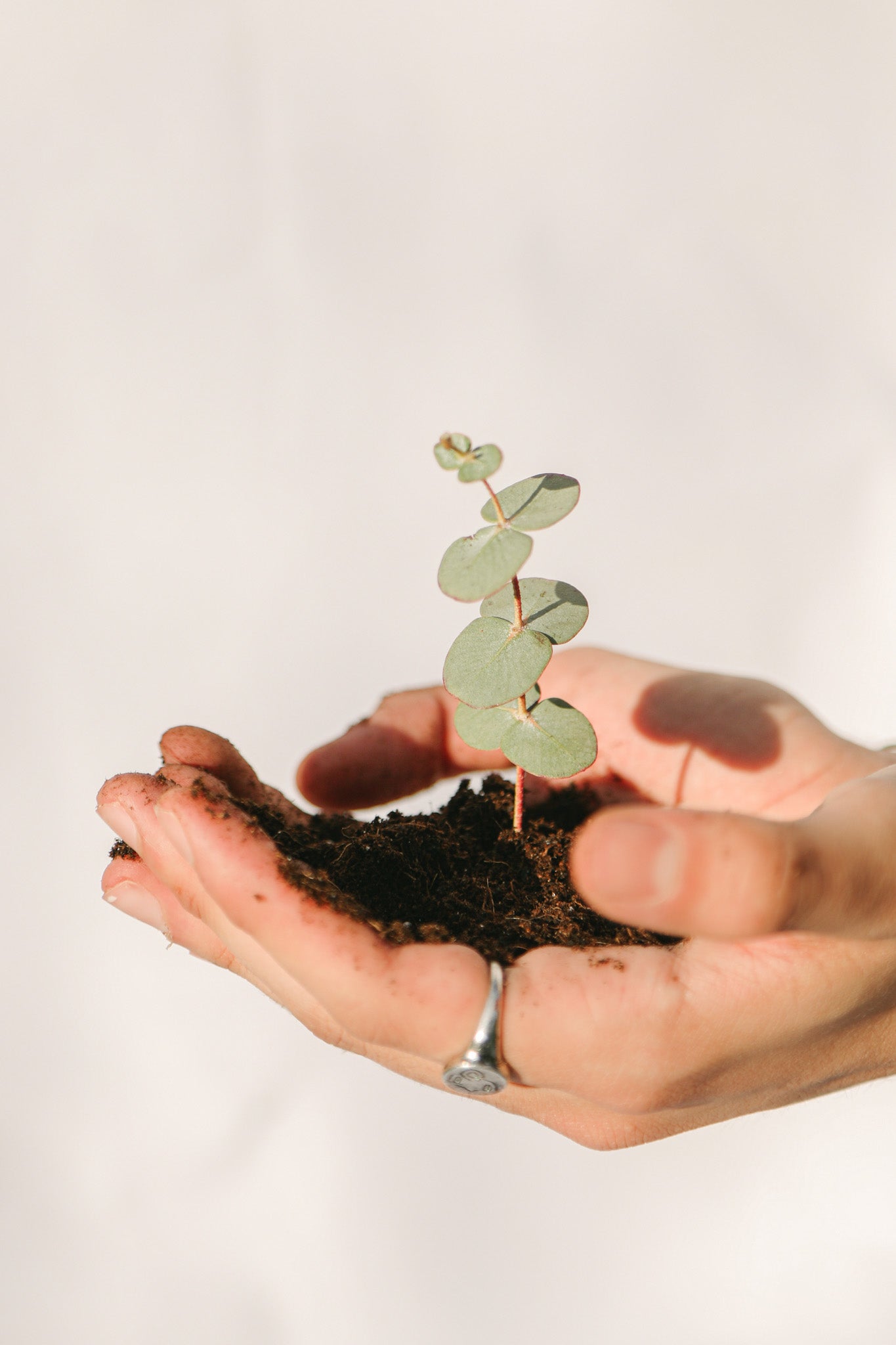 Progress Over Perfection: Why it Matters for Sustainability