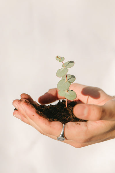 Progress Over Perfection: Why it Matters for Sustainability