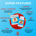 Multivitamin Mineral Plus – Daily Wellness & Nutrition Support