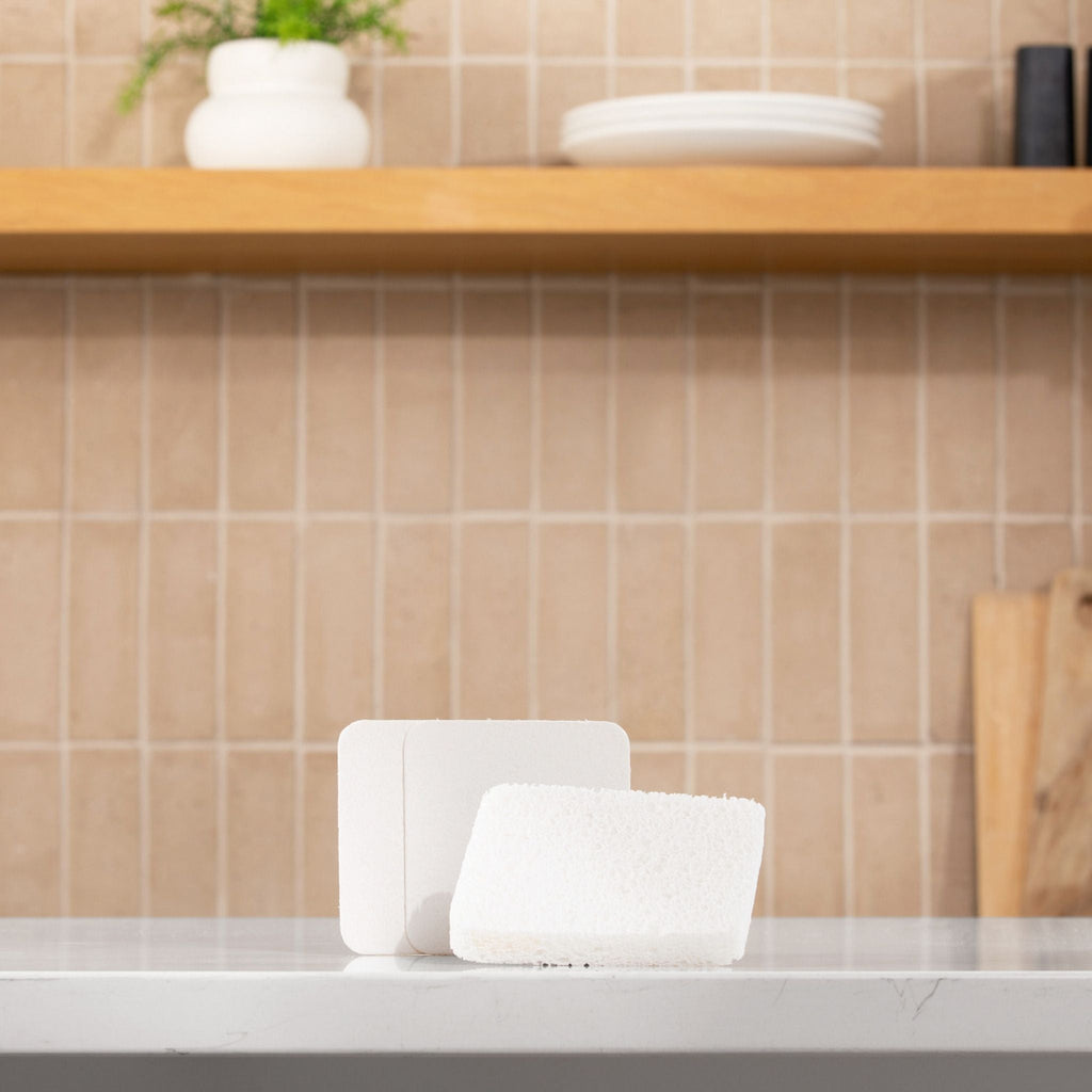 NoPlastic™ Soak Sponge