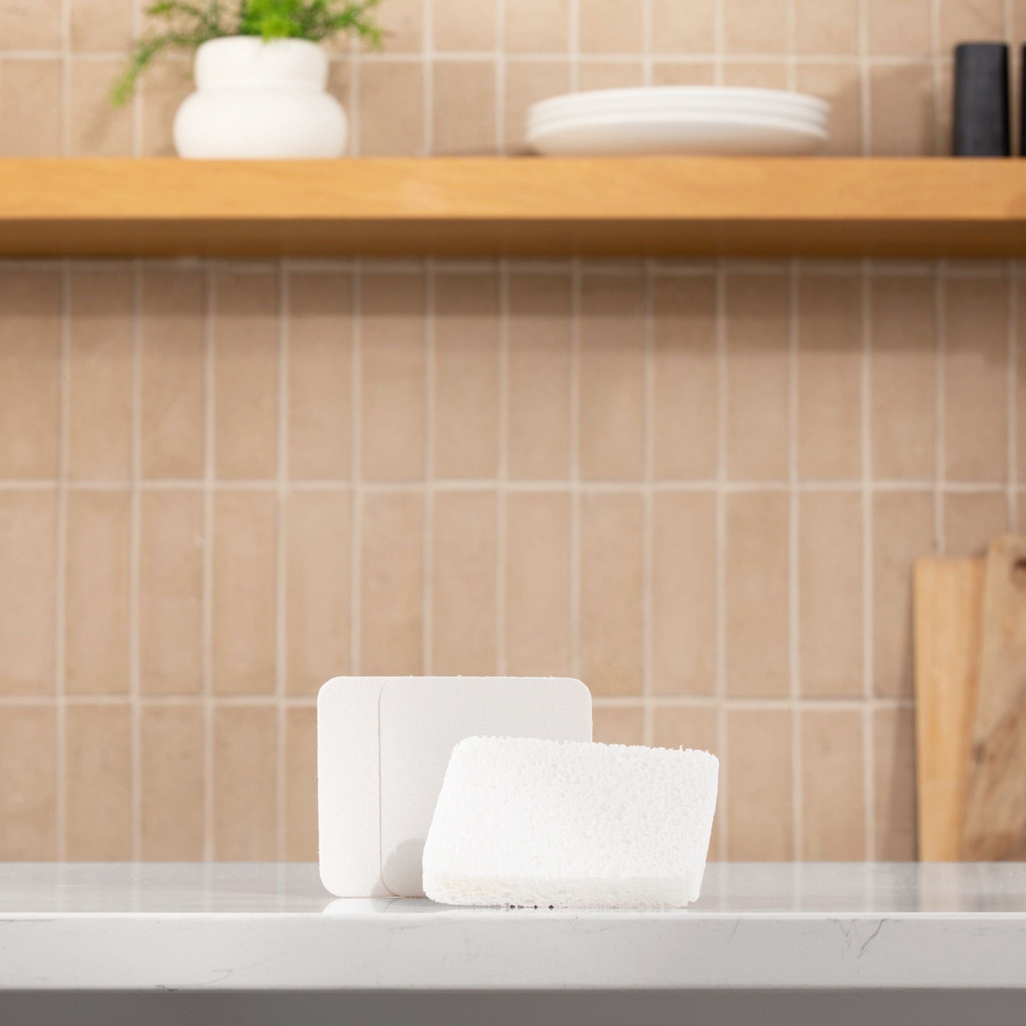 NoPlastic™ Soak Sponge