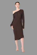 Long Sleeve Dress in Brown