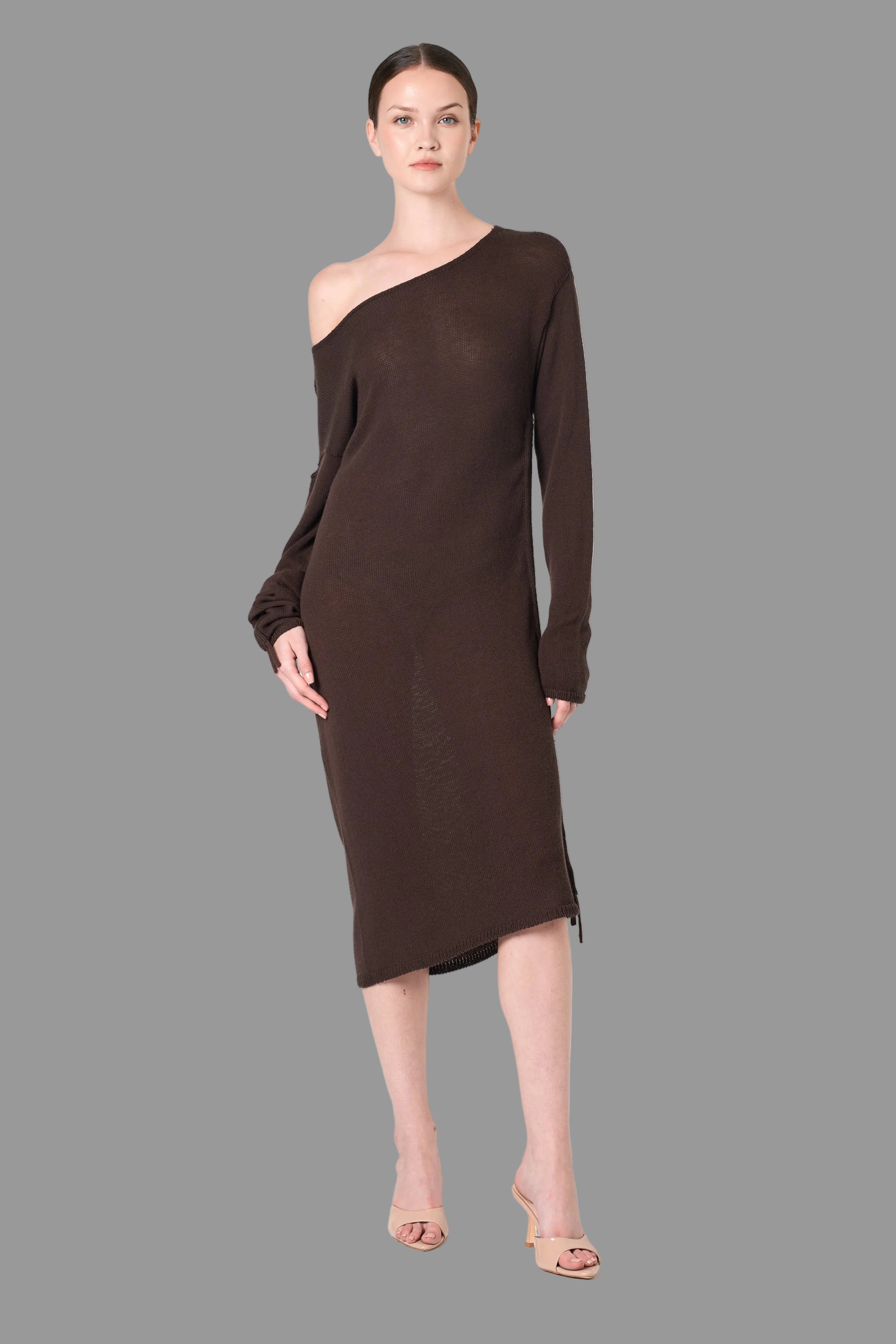 Long Sleeve Dress in Brown